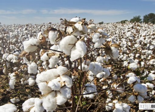 Bottleneck in cotton supply chain in Covid-19 pandemic era