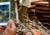 H&M & WWF launch AI app to censor deforestation in Cambodia