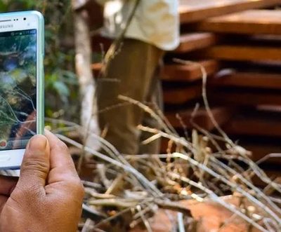 H&M & WWF launch AI app to censor deforestation in Cambodia