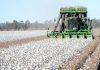 Leaders in innovation address Australian Cotton Conference
