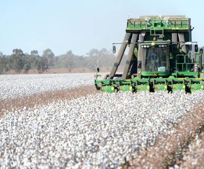 Leaders in innovation address Australian Cotton Conference