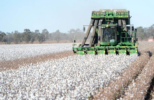 Leaders in innovation address Australian Cotton Conference