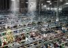 Weekly holidays for industrial zones; Thursday