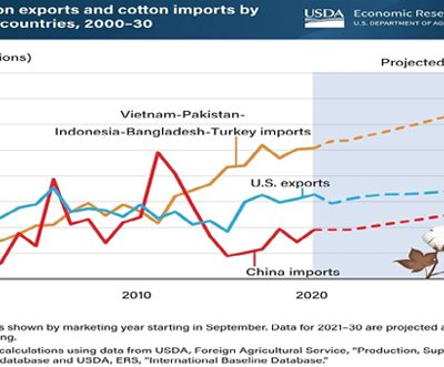 China's position as cotton importer declines as Asian rivals grow