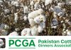 Pakistan reports a 14% lower arrival of cotton in August, shortage imminent