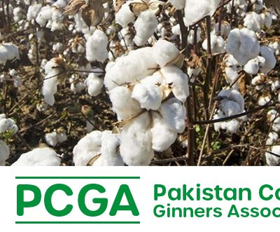 Pakistan reports a 14% lower arrival of cotton in August, shortage imminent