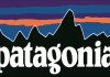 Patagonia: billionaire donated his company to protect the environment crisis
