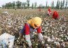 Campaigners demand more from forced labour ban