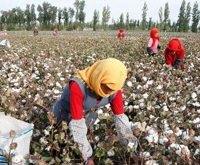 Campaigners demand more from forced labour ban