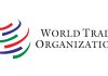 Global trade ‘resilient’ during Ukraine war: WTO