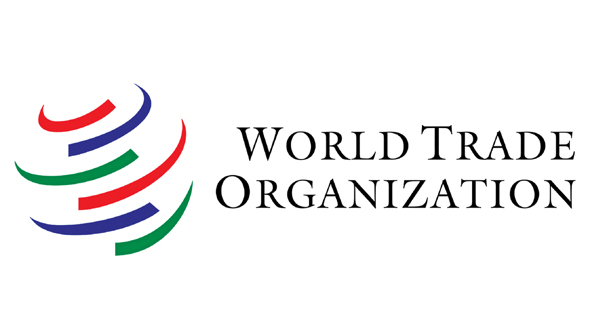 Global trade 'resilient' during Ukraine war: WTO