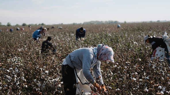 US bid to improve a lot of Uzbek cotton workers
