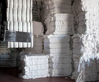 US cotton export may slash to 12.5mn bales in 2022-23; forecasts USDA