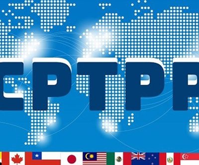 Vietnam's exports to CPTPP nations see 38.7% growth in Jan- Aug 2022