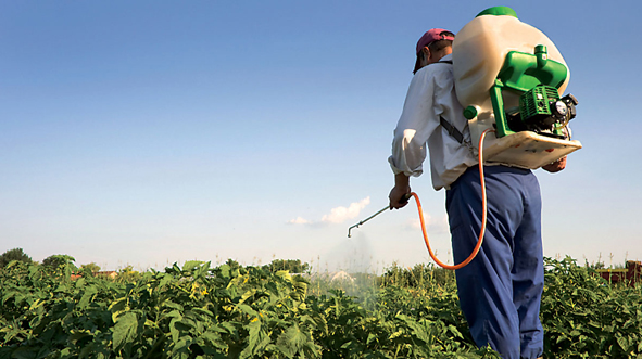Better Cotton to develop pesticide reduction goal
