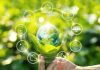 Inditex & WWF partner to protect endangered ecosystems