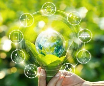 Inditex & WWF partner to protect endangered ecosystems