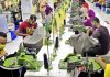 US garment buyers are shifting from Bangladesh: study says