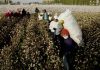 Sourcemap partners Kharon on forced labour
