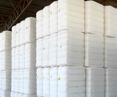 The US outperformed Brazil in cotton export this year so far
