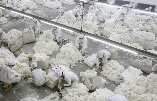 China's cotton imports from US skyrocket after Xinjiang ban