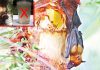 Take preventive measures from the deadliest Nipah Virus