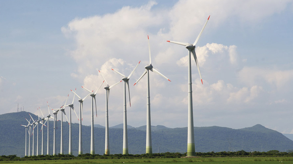 Vietnam's wind power is attracting foreign investment