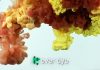 Ever Dye raises $3.7m to scale the dyeing process