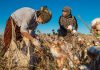 Conflict in Sudan won’t impact Bangladesh’s cotton import: Textile millers