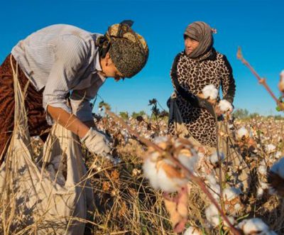 Conflict in Sudan won’t impact Bangladesh’s cotton import: Textile millers