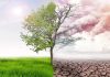 High threats of severe global warming