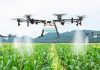 UAE concentrates on making Ten billion dollars food and agriculture economy