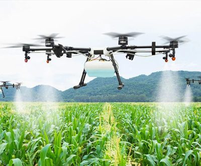 UAE concentrates on making Ten billion dollars food and agriculture economy