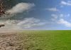 Big fund on climate change is stuck in Bank