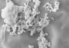 Trelleborg Showcases Latest Coated Fabrics at Healthcare Design Expo