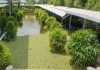 Two more factories got LEED certified