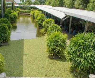 Cotton Club and Graphic textiles are two new LEED certified green factory