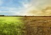 Climate risks could cut fashion industry profits by 34% by 2030: Aii