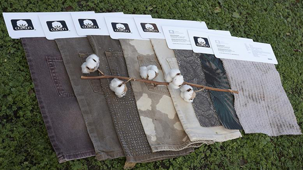 Archroma and Cotton Incorporated reaffirm commitment to innovation for cotton circularity