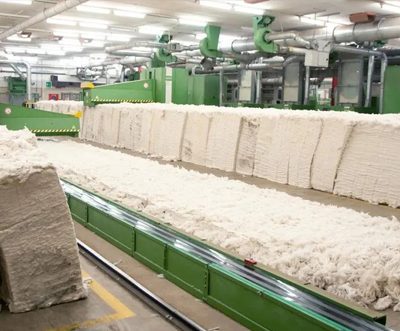 Cotton industry will shrink due to rising demand of synthetic fibers