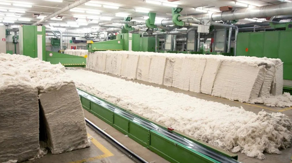 Cotton industry will shrink due to rising demand of synthetic fibers