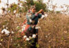 ‘Better Cotton’ initiates research to empower women in Indian cotton industry