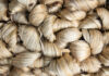 Raw jute price surged by 19%