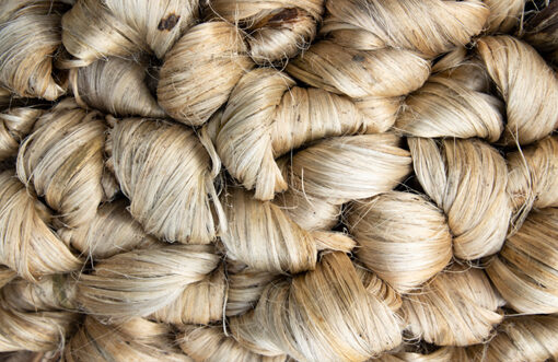 Raw jute price surged by 19%