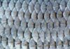 Global E-Textile Market to Reach $6.8 Billion by 2030, Driven by Wearable Tech Innovations