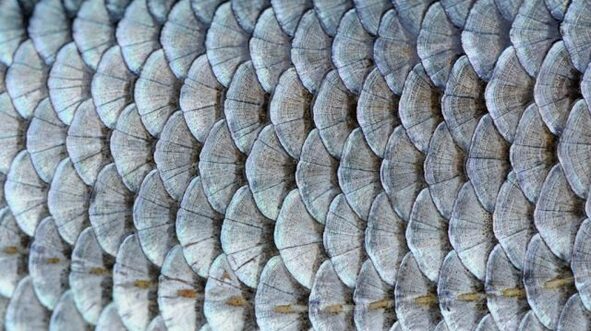 Global E-Textile Market to Reach $6.8 Billion by 2030, Driven by Wearable Tech Innovations