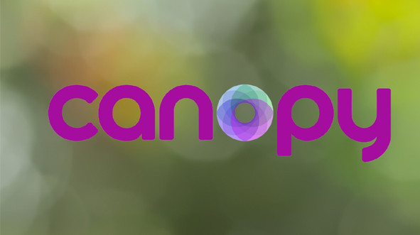 Circulose Joins Canopy to transform supply chains and protect forests