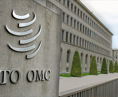WTO must be reformed or vanished: Experts