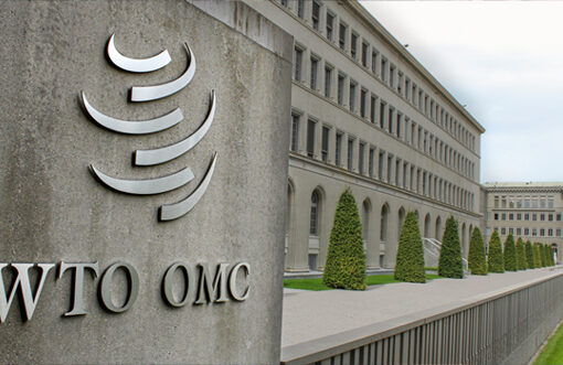 WTO must be reformed or vanished: Experts