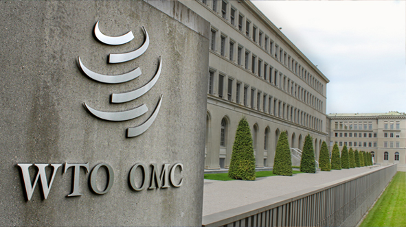 WTO must be reformed or vanished: Experts